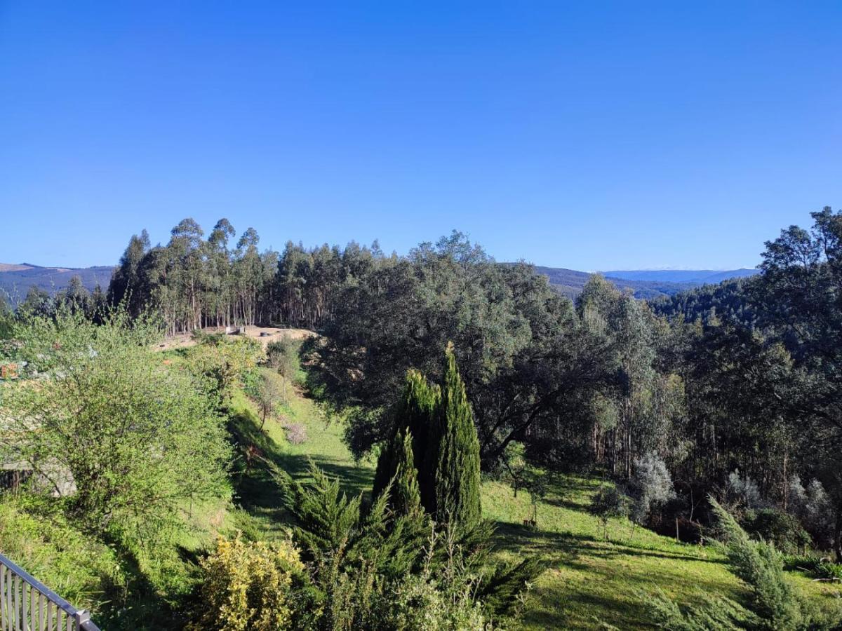 Alojamento Casa Do Cabeco Alombada Macinhata do Vouga Bagian luar foto